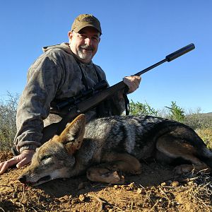 Hunting Jackal in South Africa