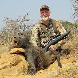 Baboon Hunting South Africa