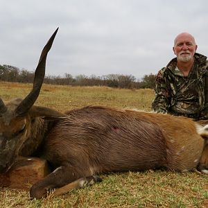 Bushbuck Hunt South Africa