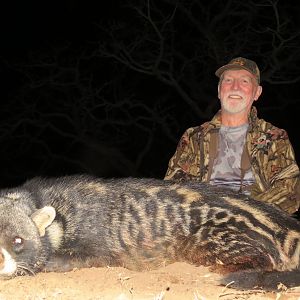 South Africa Hunting African Civet