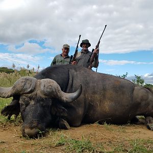 South Africa Hunt Cape Buffalo