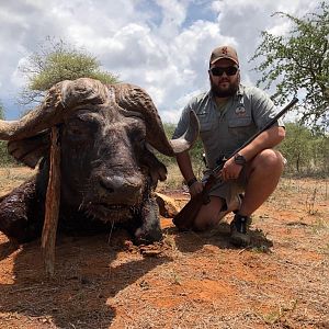 Hunting Cape Buffalo South Africa