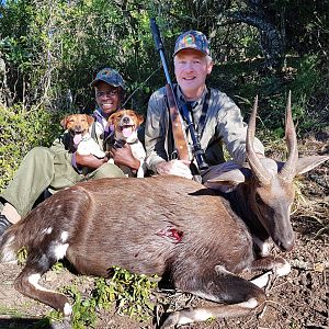 Bushbuck Hunt in South Africa