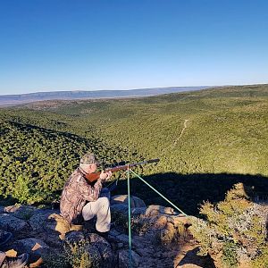 Hunting South Africa