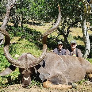 Hunt Kudu South Africa