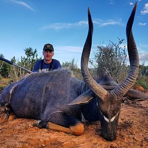 Nyala Hunting in South Africa