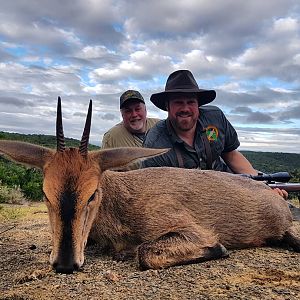 South Africa Hunting Duiker