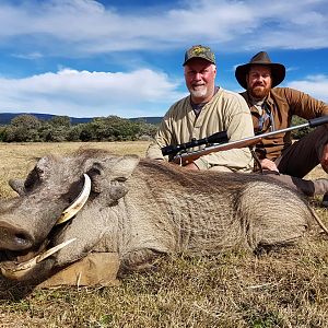 South Africa Hunting Warthog