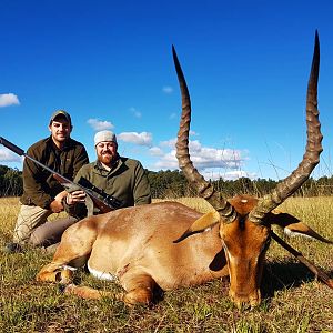 Impala Hunting in South Africa