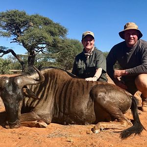 Blue Wildebeest Hunt in South Africa