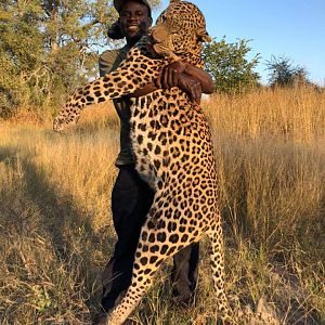 Namibia Hunt Leopard