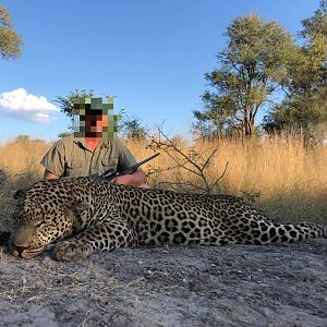 Hunting Leopard Namibia