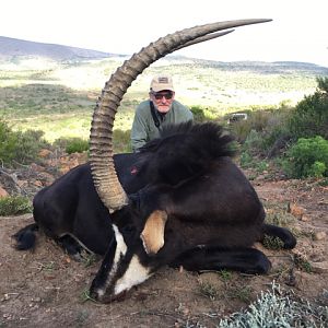 Hunt Sable Antelope South Africa