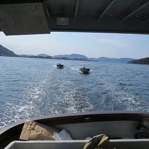 Black Bear Hunt On And Around Prince Of Whales SE Alaska