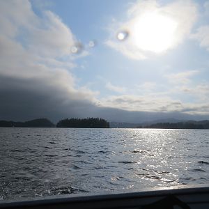 Black Bear Hunt On And Around Prince Of Whales SE Alaska