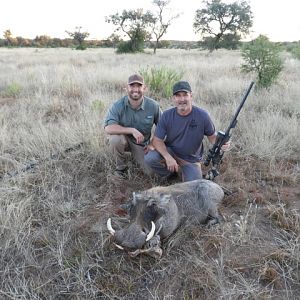 Warthog Hunting Namibia