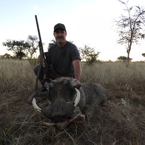 Namibia Hunt Warthog