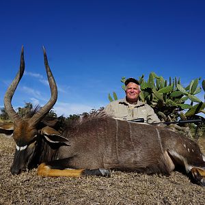 Nyala Hunt South Africa