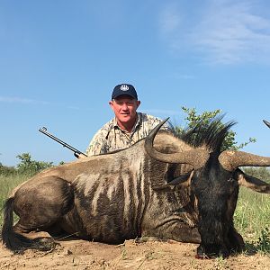 Blue Wildebeest Hunt South Africa