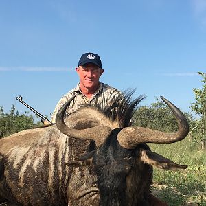 South Africa Hunting Blue Wildebeest