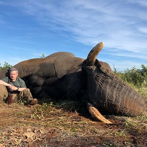 Zimbabwe Hunting Elephant