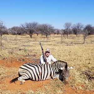 Hunt Burchell's Plain Zebra in South Africa