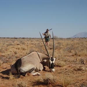 Gemsbok Hunt Namibia