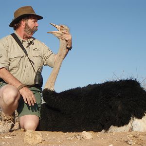 Namibia Hunting Ostrich