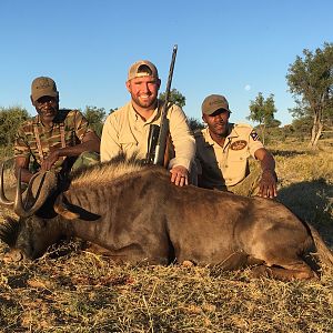 Black Wildebeest Hunt Namibia