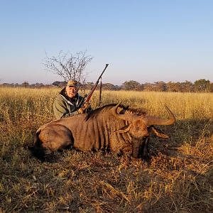 Hunting Blue Wildebeest in South Africa