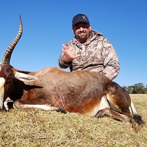 South Africa Hunt Blesbok