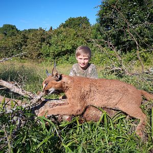 Hunting Caracal in South Africa