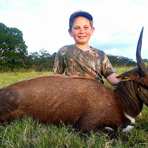 Hunt Bushbuck in South Africa