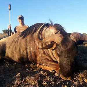 Blue Wildebeest Hunting South Africa