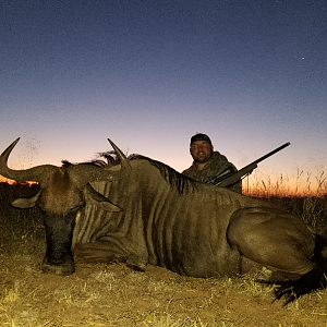 South Africa Hunt Blue Wildebeest