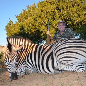 Burchell's Plain Zebra Hunting South Africa