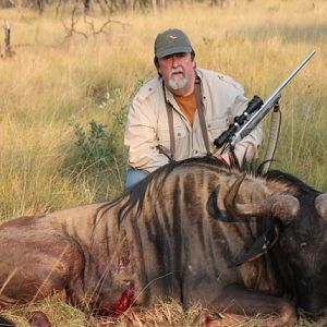 Blue Wildebeest Hunt