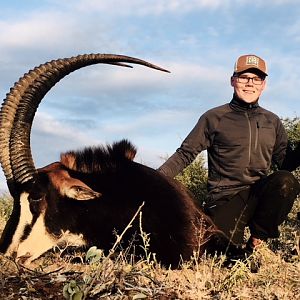 South Africa Hunt Sable Antelope