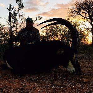 Hunting Sable South Africa