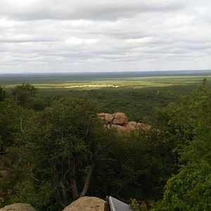 Hunting Area South Africa