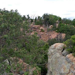 Hunting Area South Africa