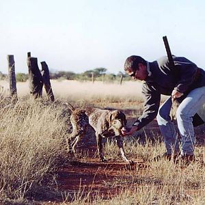 Wingshooting in South Africa