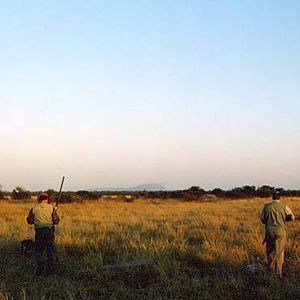 Wingshooting in South Africa