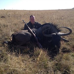 Hunt Blue Wildebeest in South Africa