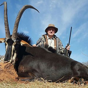 Sable Antelope Hunting South Africa