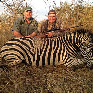 Burchell's Plain Zebra Hunt South Africa