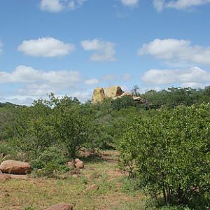 Zimbabwe Hunting Area