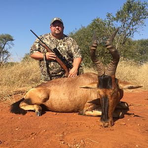 South Africa Hunt Red Hartebeest