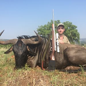 South Africa Hunting Blue Wildebeest