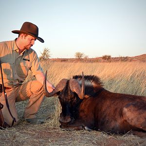 Black Wildebeest Hunting Namibia